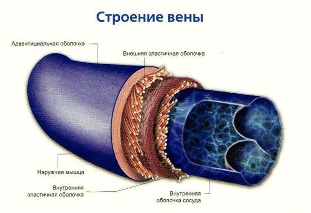 "Строение